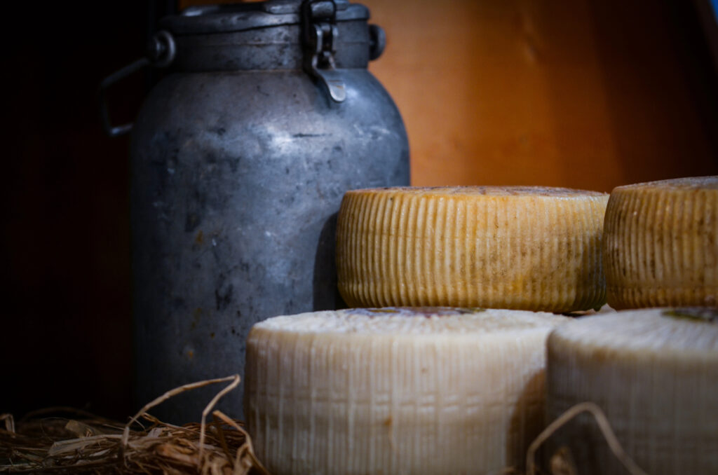 Comment optimiser sa fiche Google My Business : fromages artisanaux